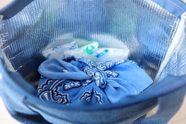 保冷剤と保冷バッグ お弁当の温度管理