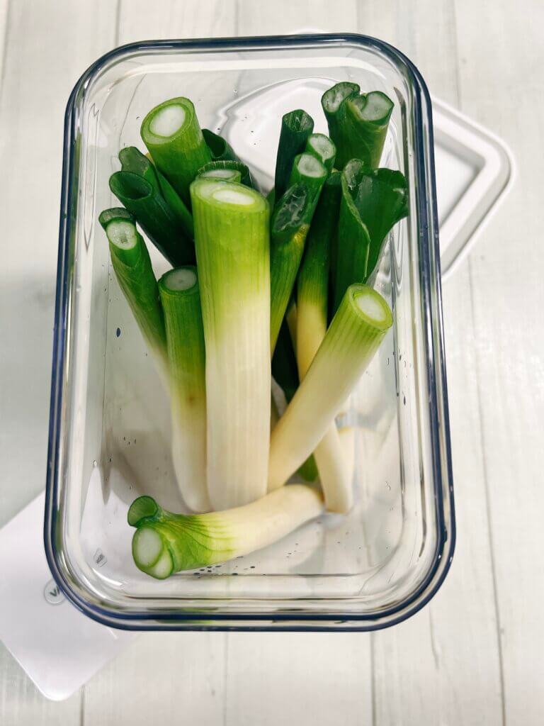 切った長ネギを保存容器に入れた状態