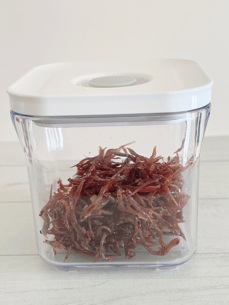 いかなごのくぎ煮をバクエン真空保存容器で保存している様子