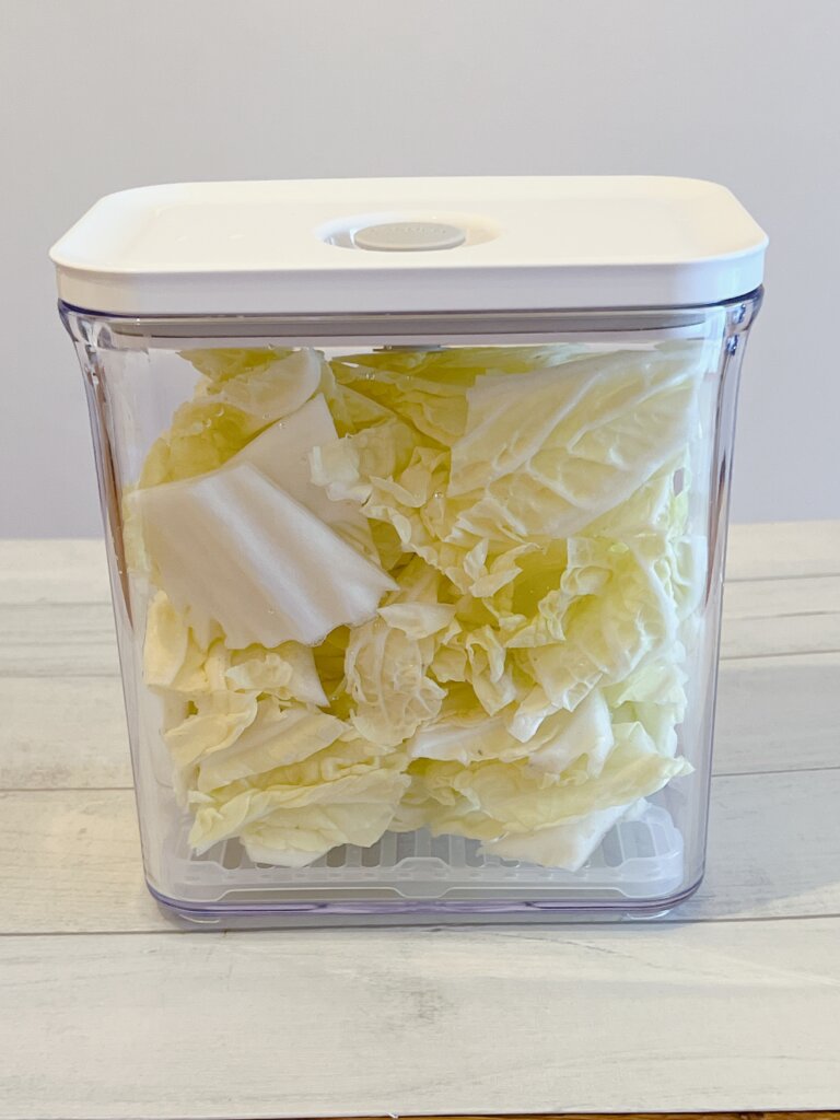 真空保存容器にざく切り白菜を入れて保存している様子
