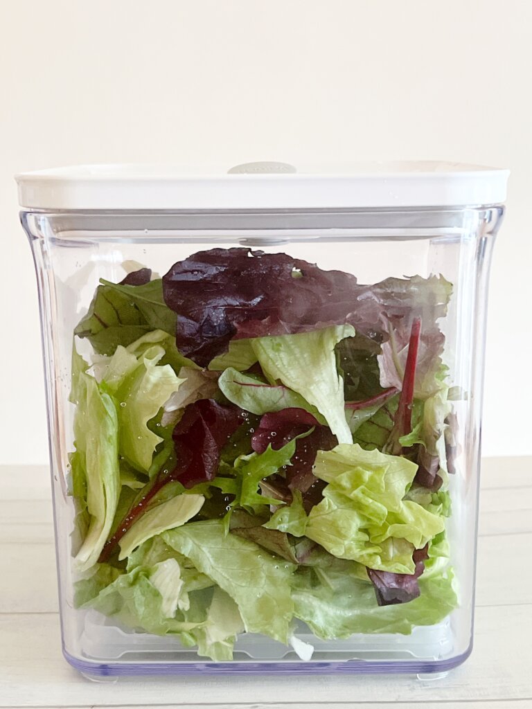 洗ったレタスとベビーリーフを真空保存容器に入れて保存している様子