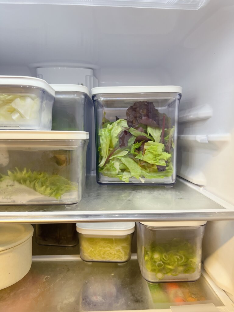 真空保存容器でレタスや野菜を冷蔵庫に保存している様子
