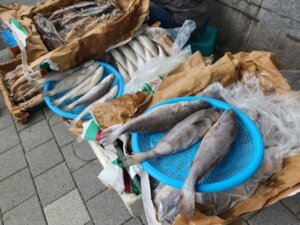 魚の旬カレンダー 季節ごとの目安